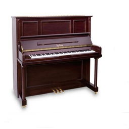 中雅乐器 匠心工艺与创新设计的交响